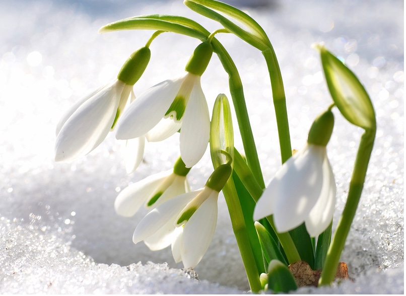 image-2-14-17-at-3-39-pm