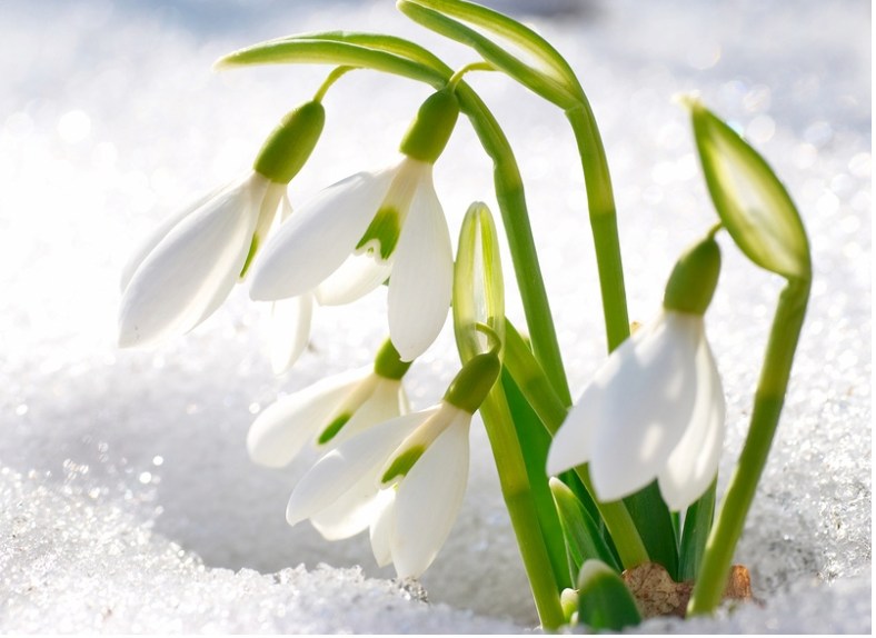 image-2-14-17-at-3-39-pm